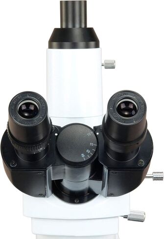OMAX 40X-2000X 10MP خطة رقمية إنفينيتي ثلاثي العينيات Siedentopf LED مجهر بيولوجي مركب in Saudi Arabia
