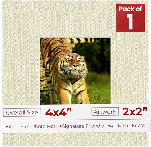 Poster Palooza Beige Canvas Mat Board for 4x4 Inch Frames - Fits 2x2 Photos - 1 Mat in Saudi Arabia