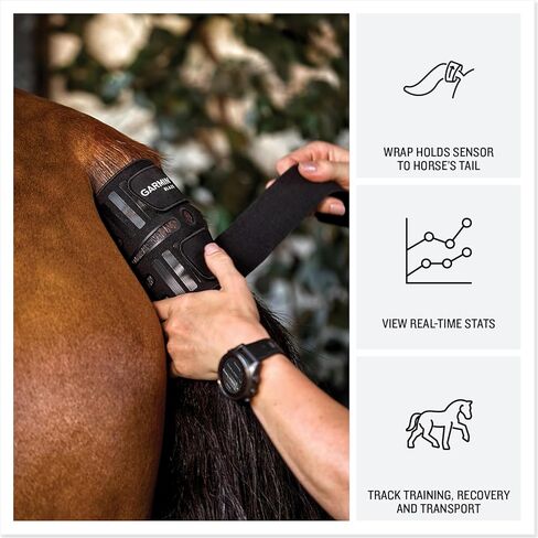 نظام العافية للخيول Garmin® Blaze™، وغطاء ذيل ومستشعر سهل الاستخدام، ورؤى حول الصحة والعافية in Kuwait