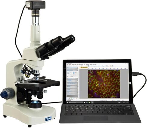 OMAX 40X-2000X USB3 10MP Digital Darkfield Lab Siedentopf Trinocular LED Microscope for Live Blood in Saudi Arabia