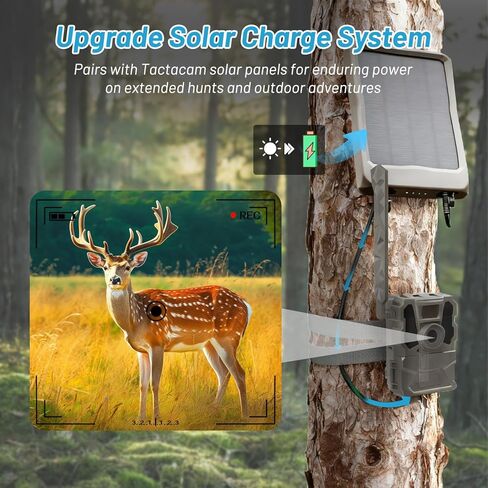 Tectra 2-Pack New Reveal Battery Pack Compatible with Reveal X Gen 3.0, 2.0, X Pro, Pro 3.0, X Ultra 3.0, SK, XB, X Cellular Trail Camera in Saudi Arabia