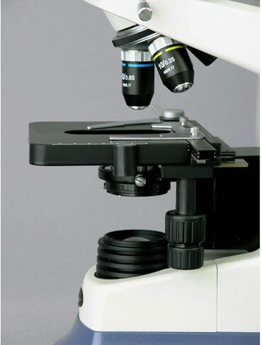 AmScope Trinocular Laboratory Compound Microscope 40X-2000X in Saudi Arabia