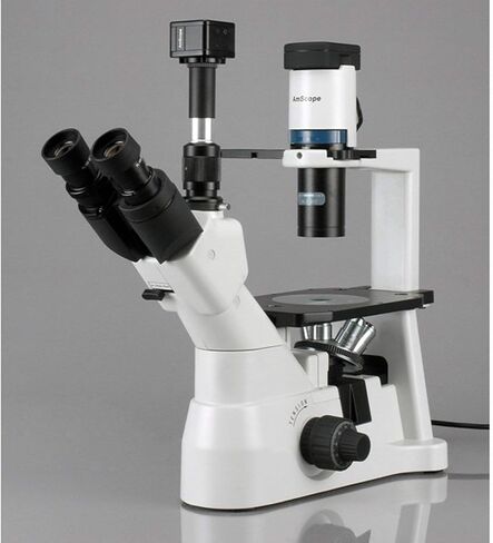 AmScope 40X-900X مجهر مقلوب على النقيض من المرحلة مع كاميرا 5MP in Saudi Arabia