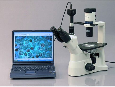 AmScope 40X-900X مجهر مقلوب على النقيض من المرحلة مع كاميرا 5MP in Saudi Arabia