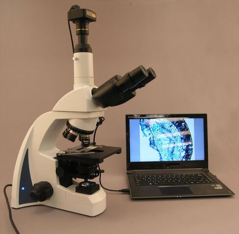 AmScope 40X-2000X مجهر LED احترافي مركب ثلاثي العينيات in Saudi Arabia