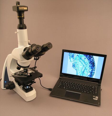 AmScope 40X-2000X مجهر LED احترافي مركب ثلاثي العينيات in Saudi Arabia