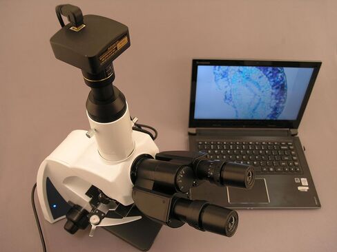 AmScope 40X-2000X مجهر LED احترافي مركب ثلاثي العينيات in Saudi Arabia