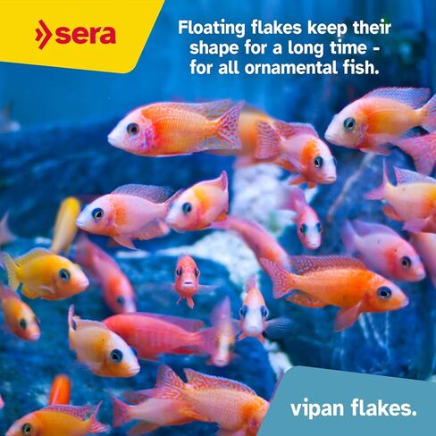Sera vipan Nature Flake 0.8oz | طعام أساسي مميز للأسماك الزينة | وجبة الحشرات وتأثير ما قبل الحمل | خالية من الأصباغ والمواد الحافظة | مثالي لمغذيات السطح in Kuwait