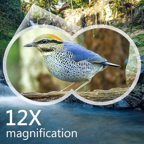 Telescope High Power Binoculars High Definition Binoculars 12X42 Waterproof Binoculars for Sightseeing Wildlife Watching Bird Watching Travel Outdoor Sports Portable in Saudi Arabia