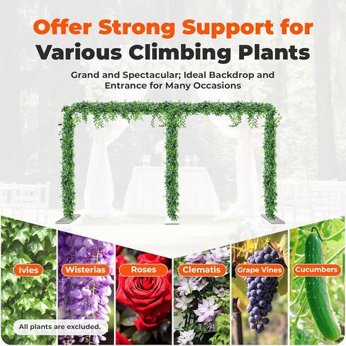 حامل قوس زفاف قابل للتعديل بارتفاع 5-9.8أقدام من الفولاذ المقاوم للصدأ يدعم خلفية الحفلات مع ثبات قوي لتزيين المنزل in Kuwait