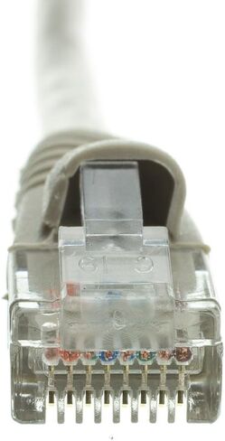 كابل إيثرنت Cat6 من CableWholesale، 24AWG، موصل لوحة ذهبية RJ45، 4 أزواج من النحاس المجدول، حذاء بدون تشابك زوج ملتوي غير محمي (UTP) كبل تصحيح شبكة الإنترنت، 6 بوصات، رمادي in Kuwait