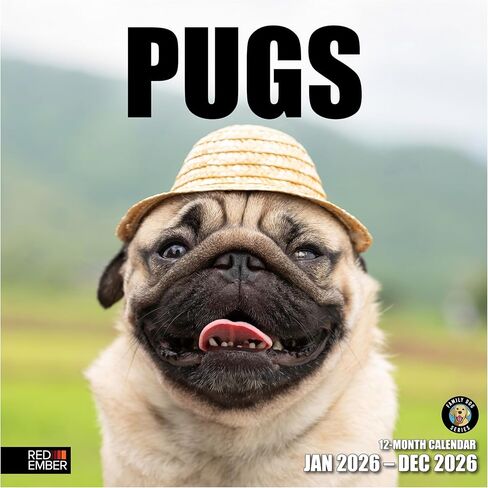 تقويم حائط RED EMBER Pugs 2026 لمدة 12 شهرًا | 12 بوصة × 24 بوصة مفتوح | ورق سميك وقوي | هدية العيد | لطيف جرو الكلب التقويم 2026 in Saudi Arabia