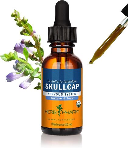 Herb Pharm Certified Organic Skullcap Liquid Extract for Nervous System Support, Organic Cane Alcohol, 4 Ounce in Saudi Arabia
