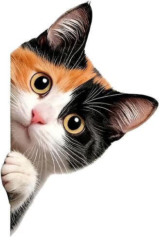 Peeking at The Cat Wall Decal, Removable Waterproof Vinyl Sticker for,Laptops,Wall,Refrigerator,Furniture, Bedroom Decoration LB-0074 in Kuwait