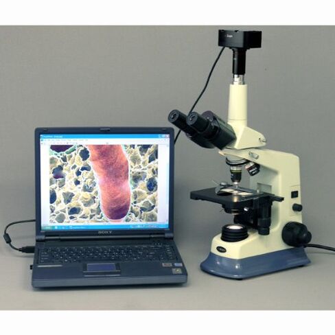 AmScope 40X-2000X Professional Darkfield Brightfield Biological Microscope in Saudi Arabia