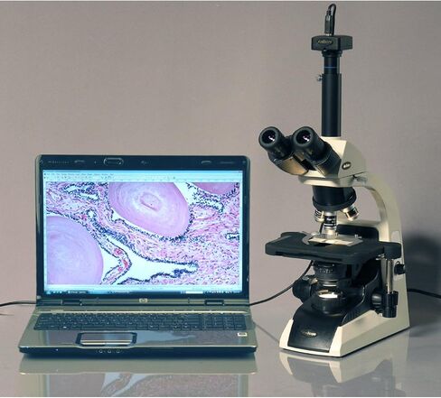 AmScope T650B Professional Trinocular Compound Microscope, 40X-2000X Magnification, WF10x and WF20x Widefield Eyepieces, Infinity Plan Objectives, Brightfield, Abbe Condenser, Double-Layer Mechanical Stage in Saudi Arabia