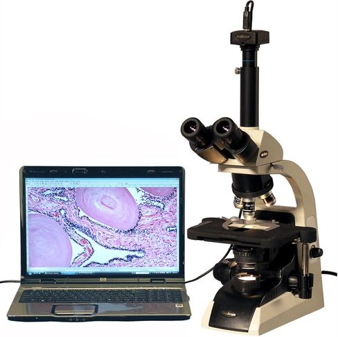AmScope T650C-5M Digital Professional Trinocular Compound Microscope, 40X-2500x Magnification, WF10x and WF25x Widefield Eyepieces, Infinity Plan Objectives, Brightfield, Abbe Condenser, Double-Layer Mechanical Stage, Includes 5MP Camera with Reduction Le in Saudi Arabia