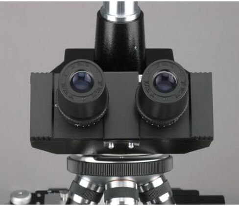AmScope T390A-PCS مجهر ثلاثي العينيات مركب احترافي، تكبير 40X-1600X، عدسات WF10x وP16x، مجال مشرق وتباين الطور، إضاءة هالوجين، مكثف آبي، مرحلة ميكانيكية مزدوجة الطبقة، تبديل تلقائي 110 فولت - 220 فولت، يتضمن 3 فا in Saudi Arabia