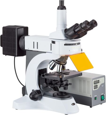 AmScope 40X-1000X مجهر فلورسنت عمودي مع برج دوار متعدد التصفية + كاميرا 10 ميجابكسل in Saudi Arabia