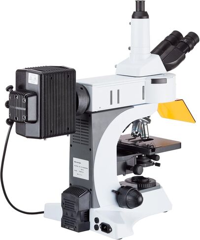 AmScope 40X-1000X مجهر فلورسنت عمودي مع برج دوار متعدد التصفية + كاميرا 10 ميجابكسل in Saudi Arabia