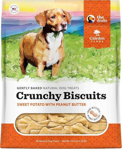 Caledon Farms The Dodo Crunchy Biscuits - الدجاج مع Apple & Blueberry 19.5 أوقية ، يعالج الكلاب ، البسكويت in Kuwait