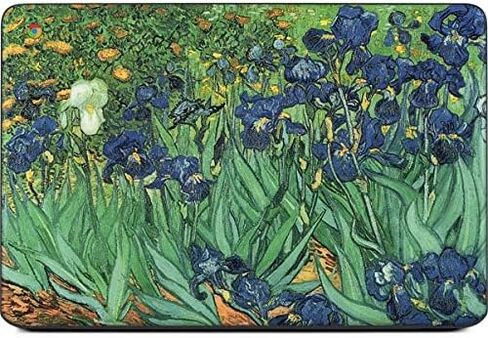 Skinit Decal Laptop Skin Compatible with Chromebook 14 G5 - Originally Designed Van Gogh - Irises Design in Saudi Arabia