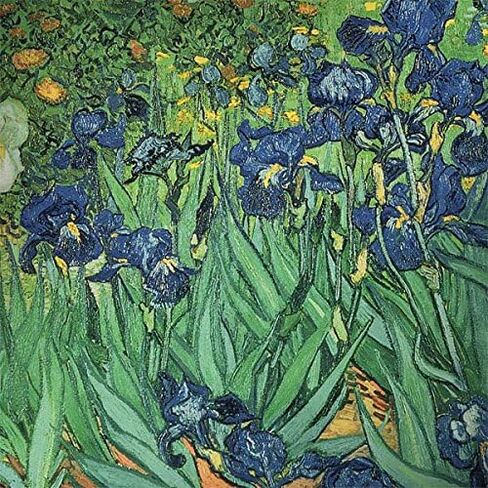 Skinit Decal Laptop Skin Compatible with Chromebook 14 G5 - Originally Designed Van Gogh - Irises Design in Saudi Arabia