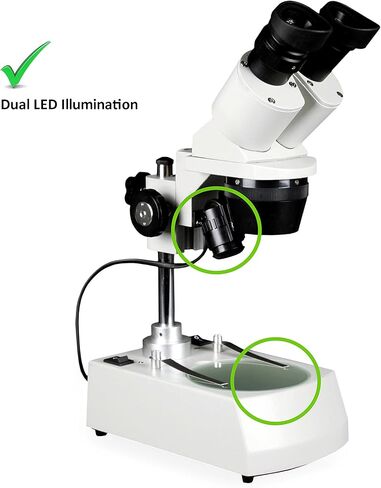 Vision Scientific VMS0002-RC-24-ES15 Binocular Stereo Microscope, 10x Widefield Eyepiece, 2X and 4X Objectives, 20x, 30X, 40x and 60x Magnification, Top and Bottom LED Illumination in Saudi Arabia
