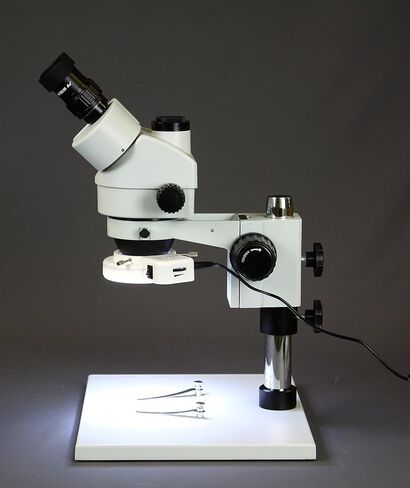 Vision Scientific VS-1AFZ-IFR07-10N Simul-Focal Trinocular Zoom Stereo Microscope,10xWF Eyepiece,3.5x-90x Magnification,0.5X&2X Auxiliary Lens,Pillar Stand W/Large Base,10.0MP Digital Eyepiece Camera in Saudi Arabia
