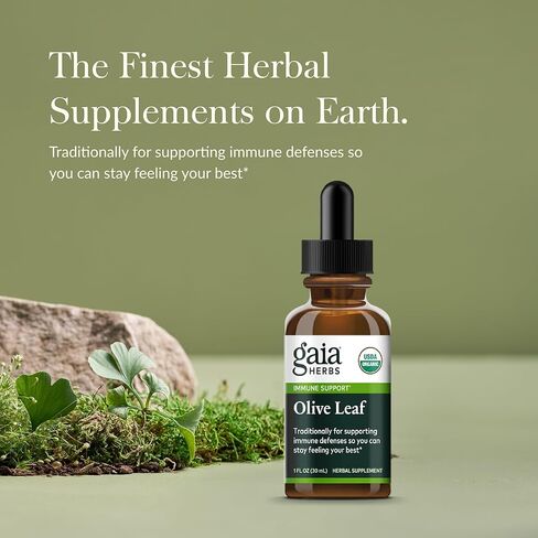 Gaia Herbs Olive Leaf 1 Fl Oz, Liquid Extract in Saudi Arabia