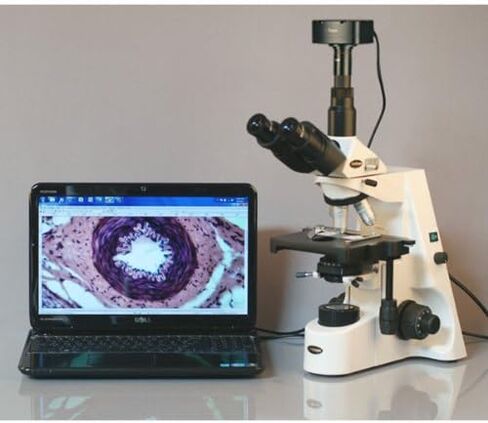 AmScope T690C-5MA Digital Trinocular Compound Microscope, 40X-2500X Magnification, WH10x and WH25x Super-Widefield Eyepieces, Infinity Objectives, Brightfield, Kohler Condenser, Double-Layer Mechanical Stage, Includes 5MP Camera with Reduction Lens and So in Saudi Arabia