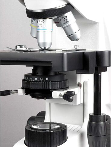 AmScope B660A 1500X Siedentopf مجهر مركب ثنائي العينين، تكبير 40X-1500X، عدسات WH10x وWH15x فائقة العرض، أهداف شبه الخطة، Brightfield، مكثف Kohler، مرحلة ميكانيكية مزدوجة الطبقة in Saudi Arabia