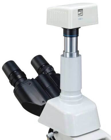 OMAX 40X-2000X مجهر رقمي برايتفيلد وداركفيلد ترينوكلوار مع نظام الإضاءة المنقولة كوهلر مع كاميرا USB 1.3 ميجابكسل in Saudi Arabia