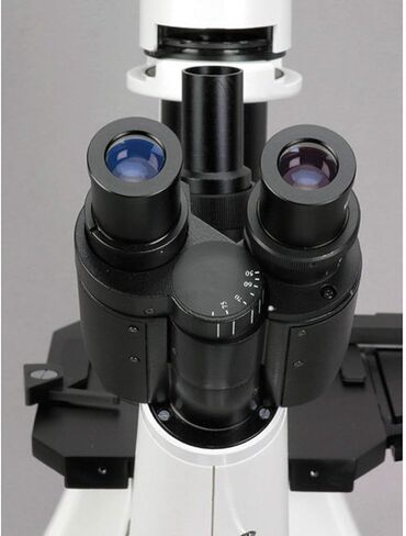 AmScope IN300TA مجهر ثلاثي العينيات مقلوب لمسافة عمل طويلة، 40x-600x، عدسات WH10x وWH15x، أهداف تباين الطور، إضاءة هالوجين، مكثف NA Abbe 0.3، مرحلة ميكانيكية، 110 فولت in Saudi Arabia