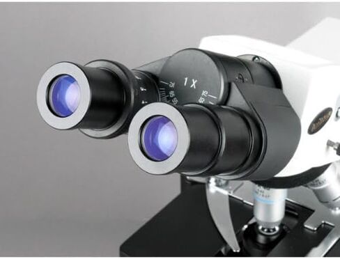 مجهر مركب ثنائي العينين AmScope B690B-DK Siedentopf، تكبير 40X-2000X، عدسات WH10x وWH20x فائقة الاتساع، أهداف إنفينيتي، برايتفيلد/داركفيلد (BF/DF)، مكثف كوهلر، مرحلة ميكانيكية مزدوجة الطبقة in Saudi Arabia