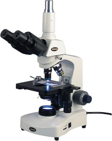 AmScope T340A-LED Siedentopf مجهر مركب ثلاثي العينيات، تكبير 40X-1600X، برايتفيلد، عدسات WF10x وWF16x، إضاءة LED، مكثف آبي، مسرح ميكانيكي مزدوج الطبقة in Saudi Arabia