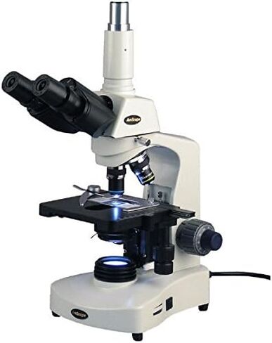 AmScope T340A-LED Siedentopf مجهر مركب ثلاثي العينيات، تكبير 40X-1600X، برايتفيلد، عدسات WF10x وWF16x، إضاءة LED، مكثف آبي، مسرح ميكانيكي مزدوج الطبقة in Saudi Arabia