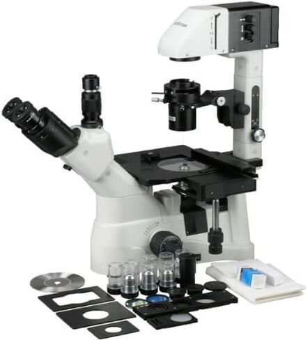 AmScope IN480T مجهر ثلاثي العينيات مقلوب لمسافة عمل طويلة، 40x-600x، WH10x عدسات ذات خطة واسعة النطاق، أهداف Brightfield وتباين الطور، إضاءة هالوجين 30 وات، مكثف 0.3/0.5 NA Kohler، مرحلة ميكانيكية، 90 إلى 240 فولت in Saudi Arabia