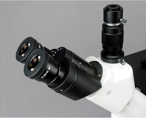AmScope IN480T مجهر ثلاثي العينيات مقلوب لمسافة عمل طويلة، 40x-600x، WH10x عدسات ذات خطة واسعة النطاق، أهداف Brightfield وتباين الطور، إضاءة هالوجين 30 وات، مكثف 0.3/0.5 NA Kohler، مرحلة ميكانيكية، 90 إلى 240 فولت in Saudi Arabia