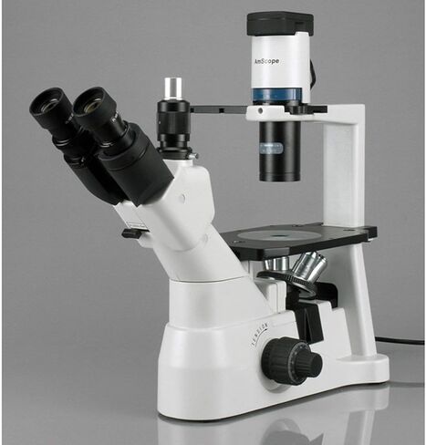 AmScope IN400TC Long Working-Distance Inverted Trinocular Microscope, 40x-1500x, WH10x and WH25x Super-Widefield Eyepieces, Brightfield and Phase-Contrast Objectives, 30W Halogen Illumination, 0.3 NA Abbe Condenser, Plain Stage, 90 to 240V in Saudi Arabia