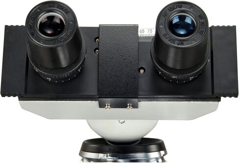 OMAX 40X-1600X Digital Lab LED Binocular Compound Microscope with Double Layer Mechanical Stage and 1.3MP USB Digital Camera in Saudi Arabia