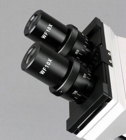 AmScope B100-E2 مجهر رقمي مركب، تكبير 40X-1000X، برايتفيلد، إضاءة التنغستن، مكثف آبي، مسرح عادي، مع كاميرا 2.0 ميجابكسل in Saudi Arabia