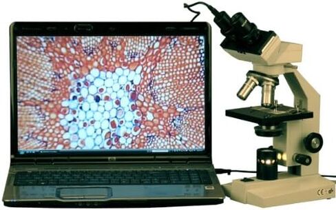 AmScope B100-E1 1000X Digital Compound Binocular Microscope, 40X-1000X Magnification, Brightfield, Tungsten Illumination, Abbe Condenser, Plain Stage, Includes 1.3MP Camera and Software in Saudi Arabia