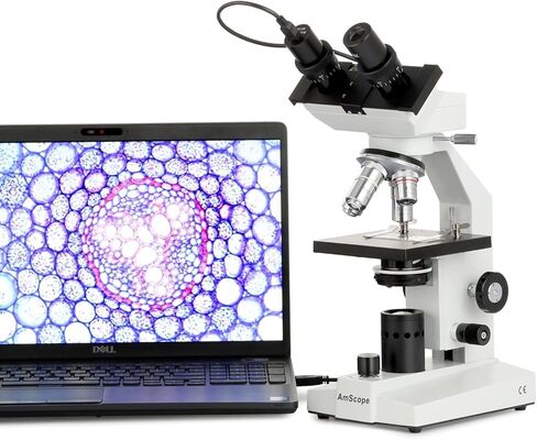 AmScope B100B-E2 Compound Binocular Microscope, 40X-2000X Magnification, Brightfield, Tungsten Illumination, Abbe Condenser, Plain Stage, with 2MP Camera in Saudi Arabia