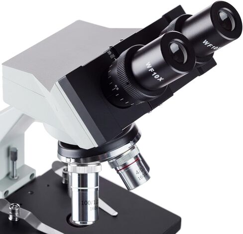 AmScope B100B-E2 Compound Binocular Microscope, 40X-2000X Magnification, Brightfield, Tungsten Illumination, Abbe Condenser, Plain Stage, with 2MP Camera in Saudi Arabia