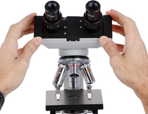 AmScope B100B-E2 Compound Binocular Microscope, 40X-2000X Magnification, Brightfield, Tungsten Illumination, Abbe Condenser, Plain Stage, with 2MP Camera in Saudi Arabia
