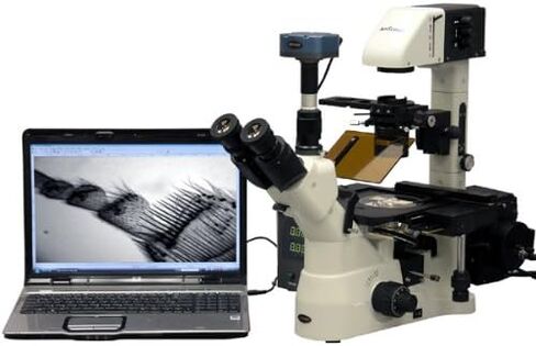 AmScope IN480TC-FL-BWF Digital Long Working-Distance Inverted Fluorescence Trinocular Microscope, 40x-1500x, WH10x Plan and WH25x Super-Widefield Eyepieces, Brightfield and Phase-Contrast Objectives, 30W Halogen Illumination, 0.3 NA Kohler Condenser, Mech in Saudi Arabia
