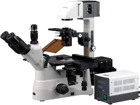 AmScope IN480TB-FL مجهر ثلاثي العينيات مقلوب لمسافة العمل الطويلة، 40x-1200x، خطة WH10x وعدسات WH20x فائقة الاتساع، أهداف Brightfield وتباين الطور، إضاءة هالوجين 30 وات، مكثف 0.3/0.5 NA Kohler، ميكانيكي S in Saudi Arabia