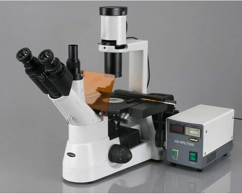 AmScope IN300TB-FL Long Working Distance Inverted Fluorescence Trinocular Microscope, 40x-800x, WH10x and WH20x Eyepieces, Phase-Contrast Objectives, 30W Halogen Illumination, 0.3 NA Abbe Condenser, Mechanical Stage, 110V in Saudi Arabia