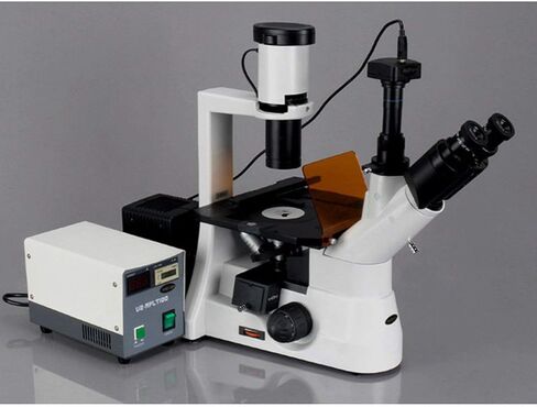 AmScope IN300TB-FL Long Working Distance Inverted Fluorescence Trinocular Microscope, 40x-800x, WH10x and WH20x Eyepieces, Phase-Contrast Objectives, 30W Halogen Illumination, 0.3 NA Abbe Condenser, Mechanical Stage, 110V in Saudi Arabia